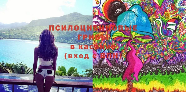 apvp Каменск-Шахтинский