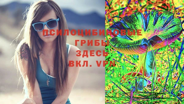 экстази Каменка