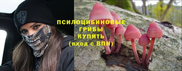 марки lsd Каменногорск